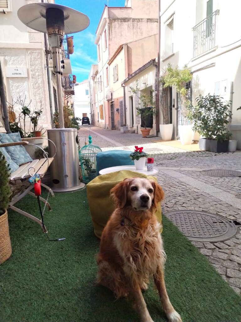 Diciosas Olbia